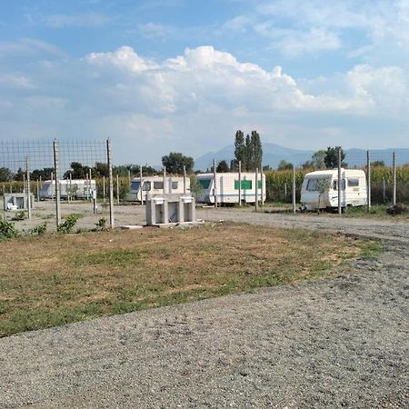 Agri Camping Italiano - Eucalyptus Hotel Shenkoll Bagian luar foto